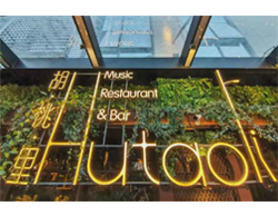 BOSE專業(yè)音響,胡桃里音樂餐吧,