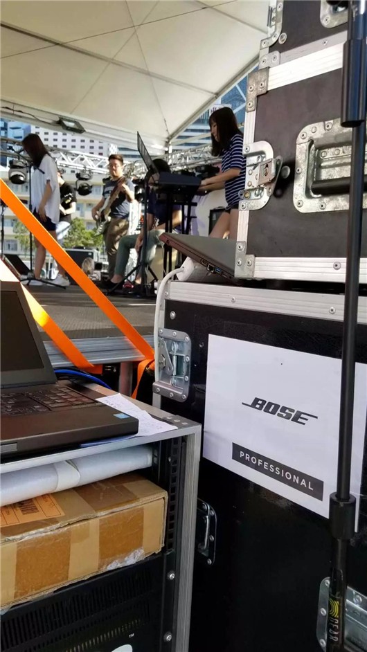 Bose Professional ShowMatch