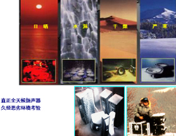 1575969058740829.jpg 3.jpg